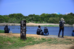 東京散策～葛西臨海公園12