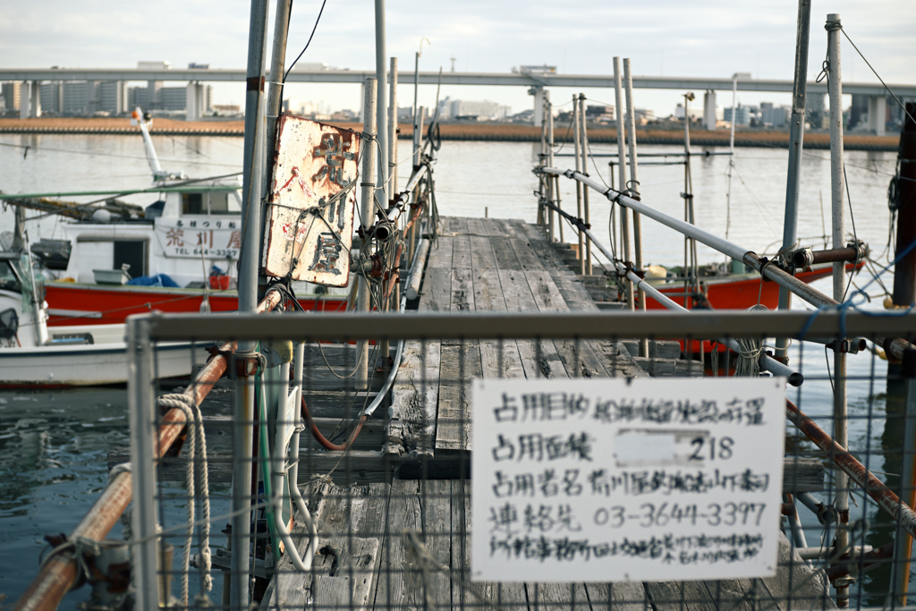 荒川・中川下流域散策28