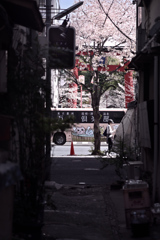 東京散策～江東区富岡01