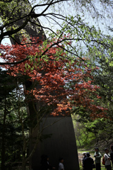 探訪記～群馬県沼田市～吹割渓17