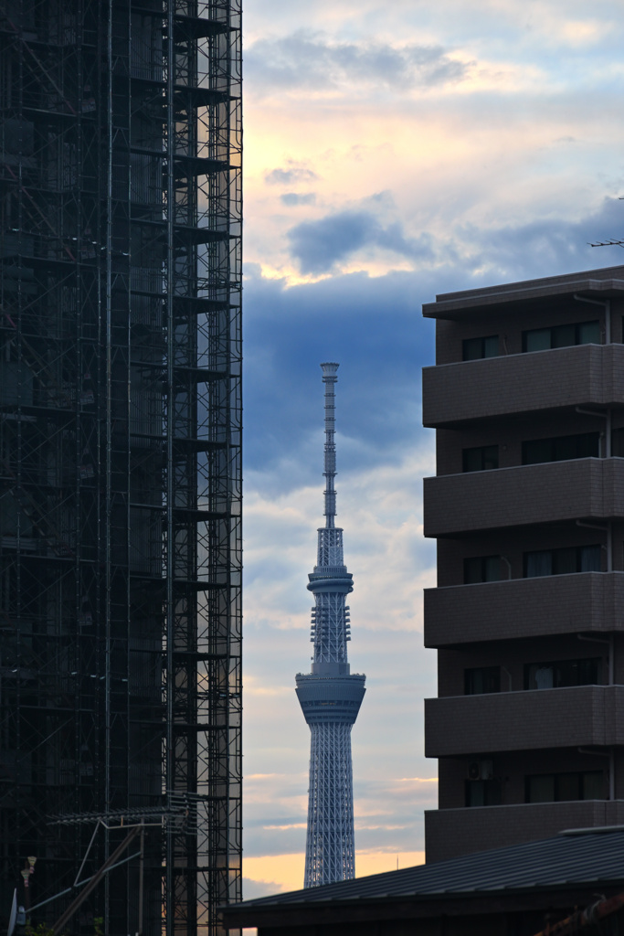 狭間の眺望