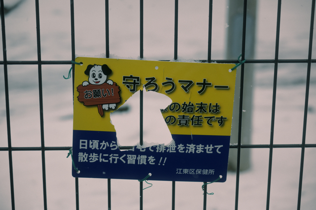 東京散策～江東区砂町72