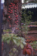 東京散策～文京区湯島31