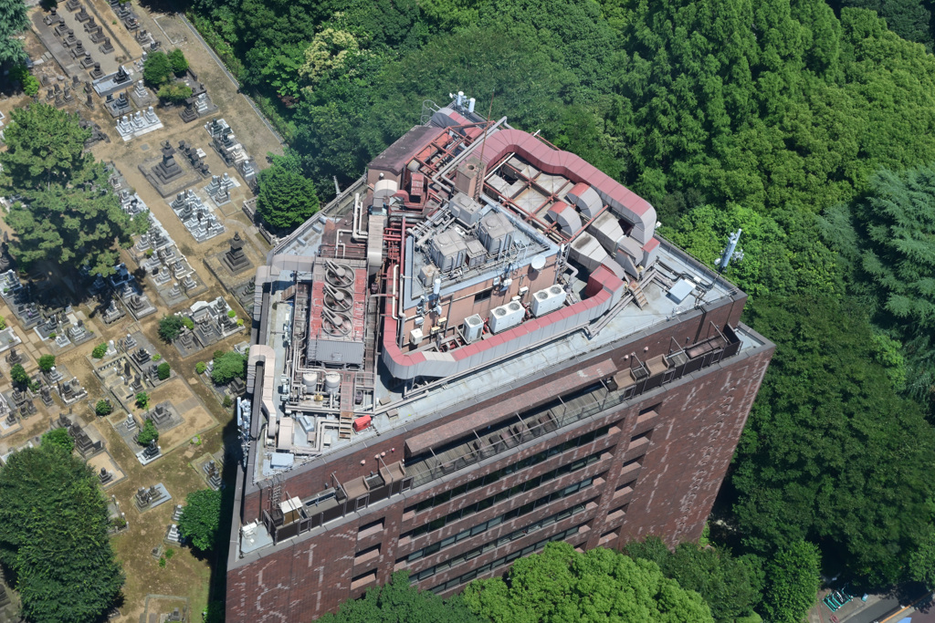 東京タワー展望台11