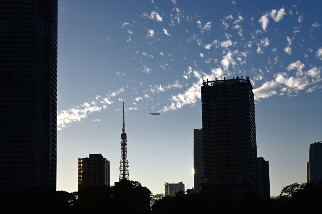 浜離宮10