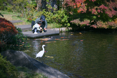 江戸川区行船公園03