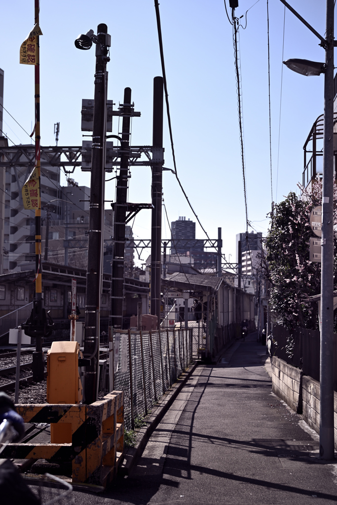 東京散策～江東区亀戸02