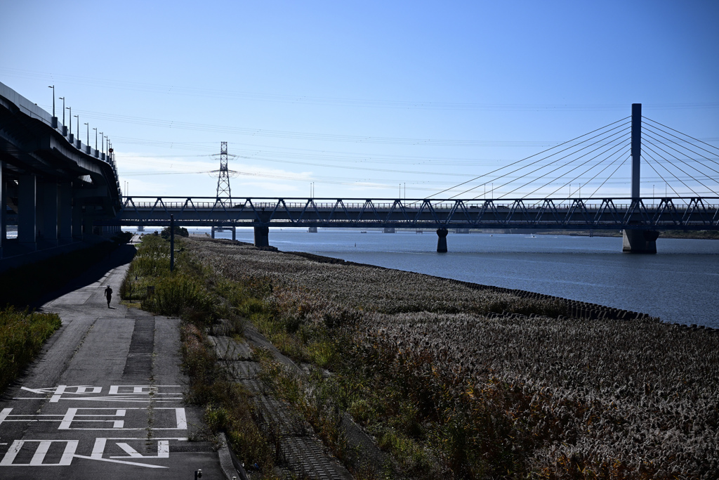 荒川・中川下流域散策06