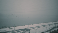 荒川・中川下流域散策40