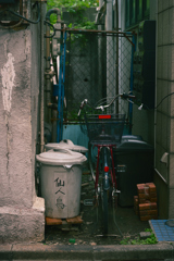 東京散策～江東区亀戸19