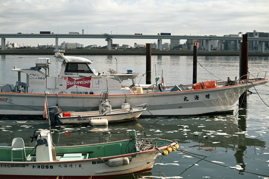 荒川・中川下流域散策29