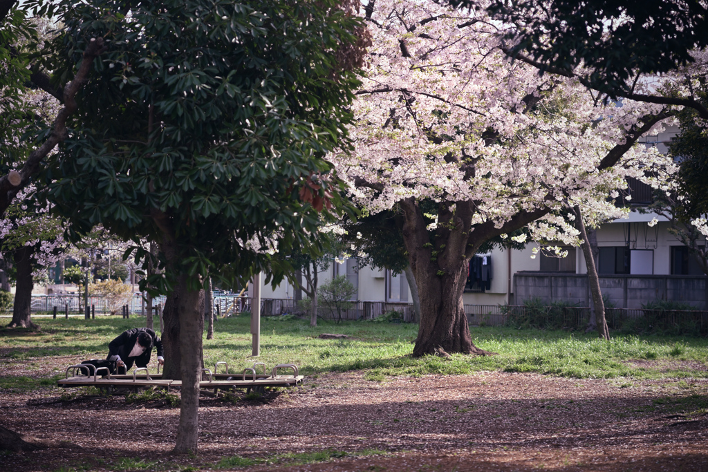 東京散策～江東区砂町43