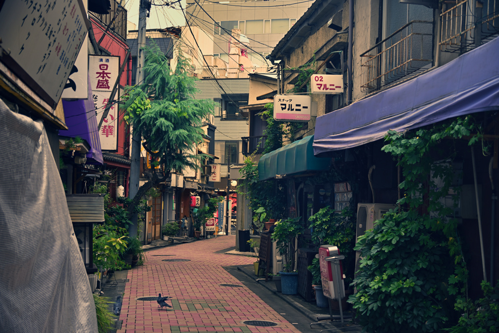 東京散策～門前仲町 辰巳新道03