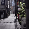 東京散策～江東区富岡11