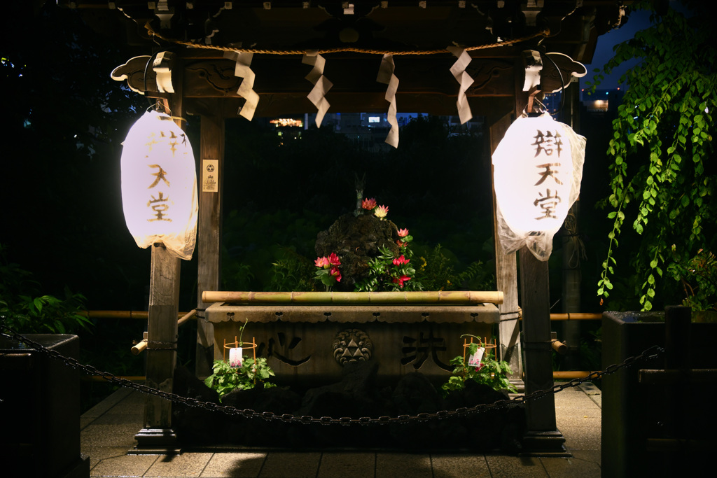 夜の不忍池弁天堂04