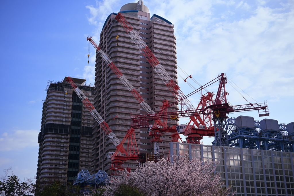 東京散策～江東区辰巳08