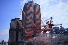 東京散策～江東区辰巳08