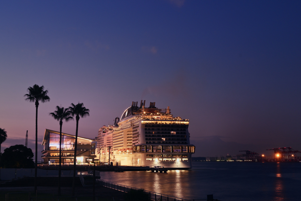 旅する船05(MSC Bellissima)