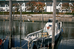 東京散策～江戸川区臨海町04