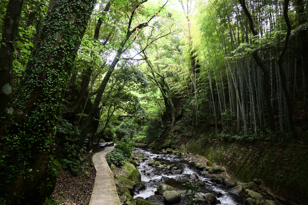 湯河原町　万葉公園05