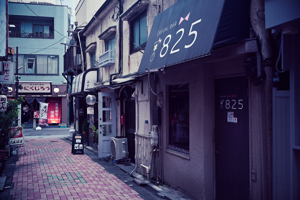 東京散策～門前仲町 辰巳新道12
