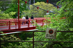 探訪記～群馬県沼田市～老神温泉23