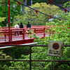 探訪記～群馬県沼田市～老神温泉23