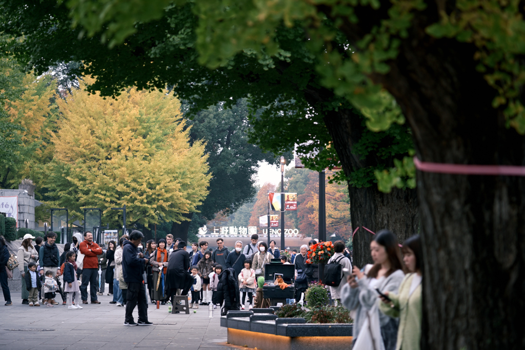 東京散策～台東区上野33
