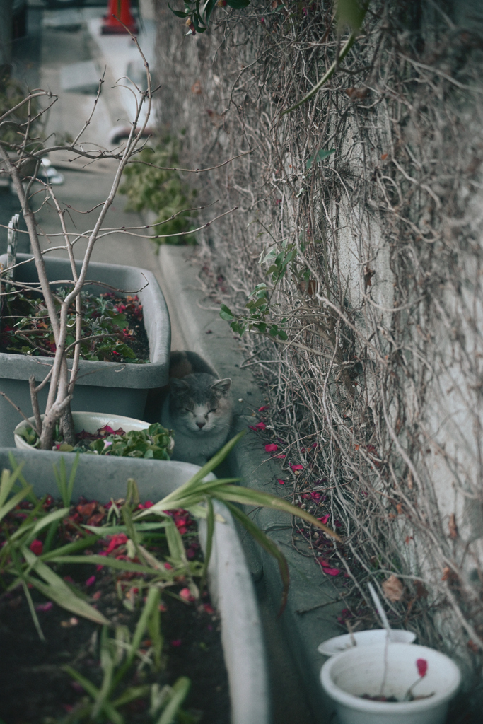 東京散策～江東区砂町69