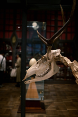 東京散策~インターメディアテク17 東京散策~インターメディアテク17