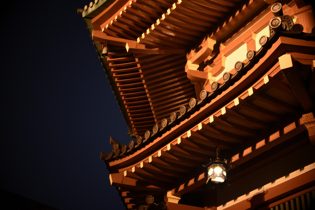 夜の不忍池弁天堂05