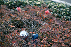 東京散策～丸の内48