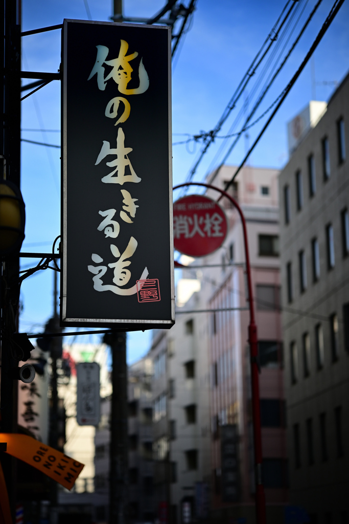 東京散策～文京区湯島28