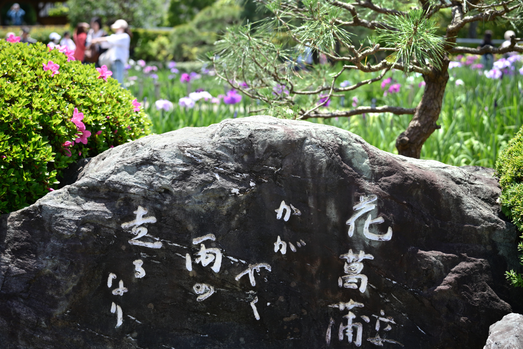 東京散策～葛飾区堀切菖蒲園11