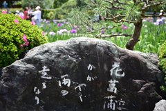 東京散策～葛飾区堀切菖蒲園11