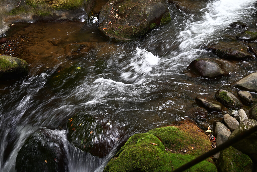 湯河原町　万葉公園03