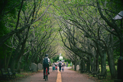 東京散策～葛西臨海公園17