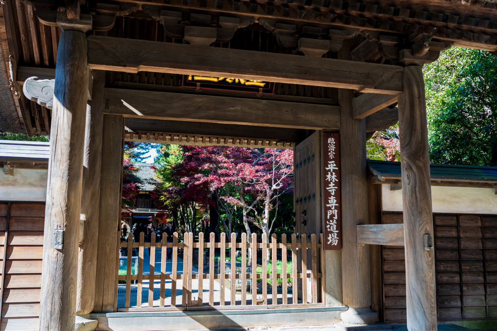 平林寺の紅葉　１
