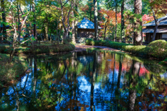 平林寺の紅葉　５