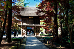 平林寺の紅葉　２