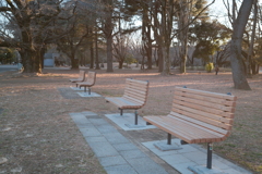 冬の公園　３