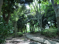 散歩道