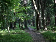 草深の森