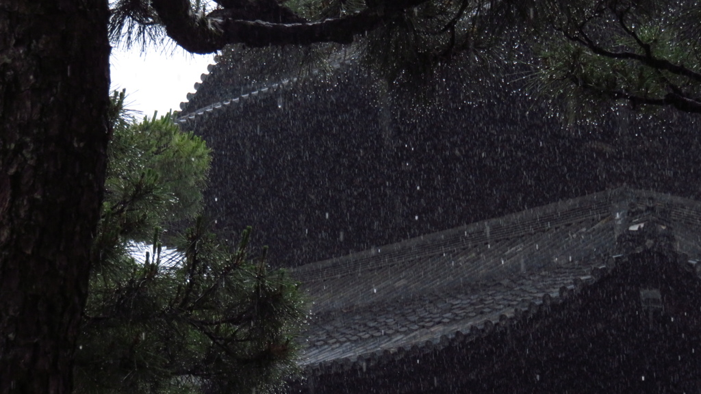 雨中の京都 ‐1‐