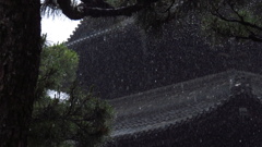 雨中の京都 ‐1‐
