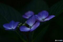 静寂