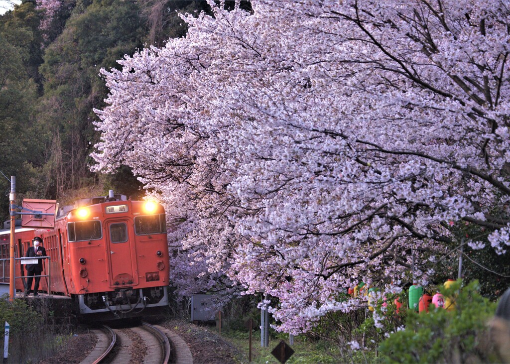 花見の出来る駅