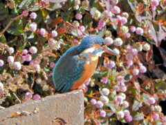 2026年　初撮り　９