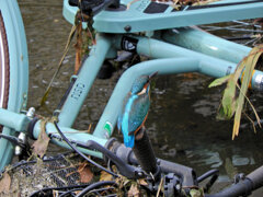 河川に捨てられた自転車のハンドルに・・・　翡翠さん　１