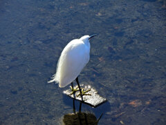 2026年　初撮り　６